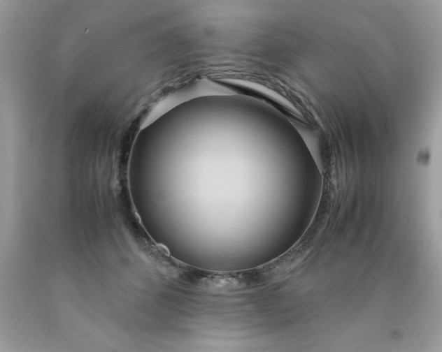 X0000090490512200707272343