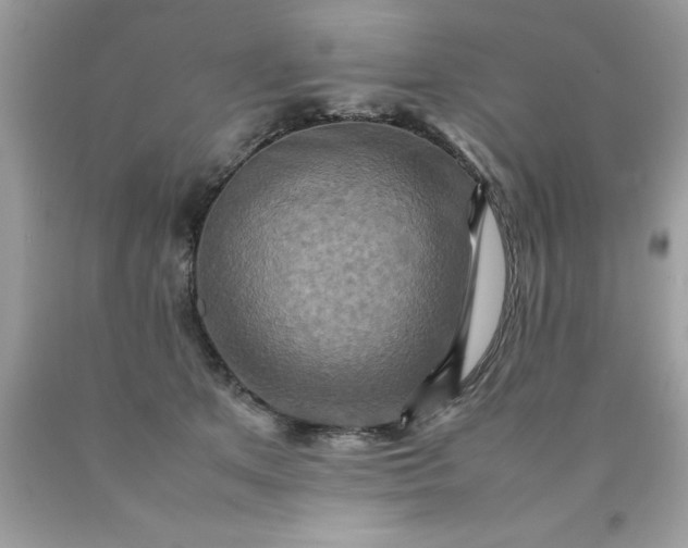 X0000090490513200707272343