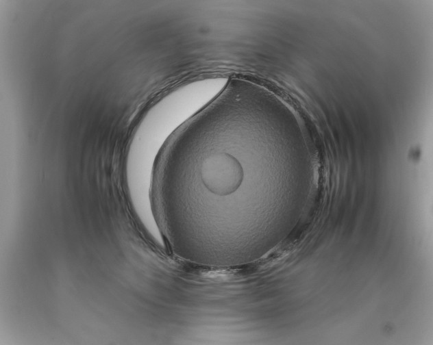 X0000090490516200707272343