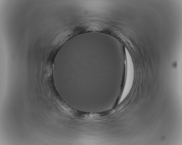 X0000090490517200707272343