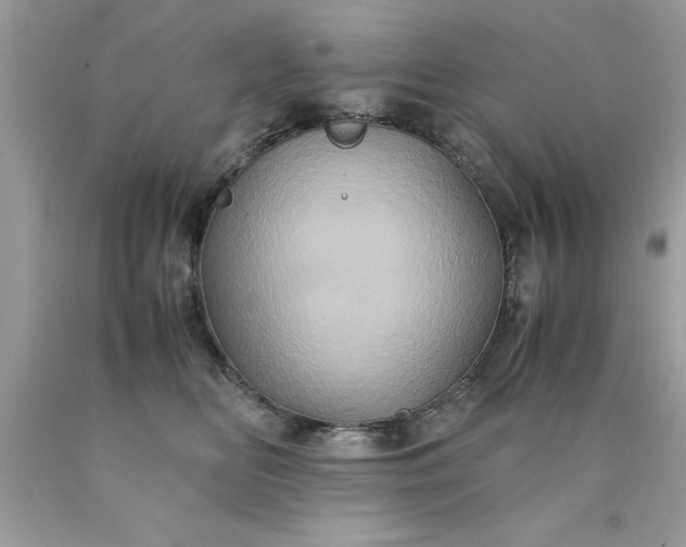 X0000090490518200707272343