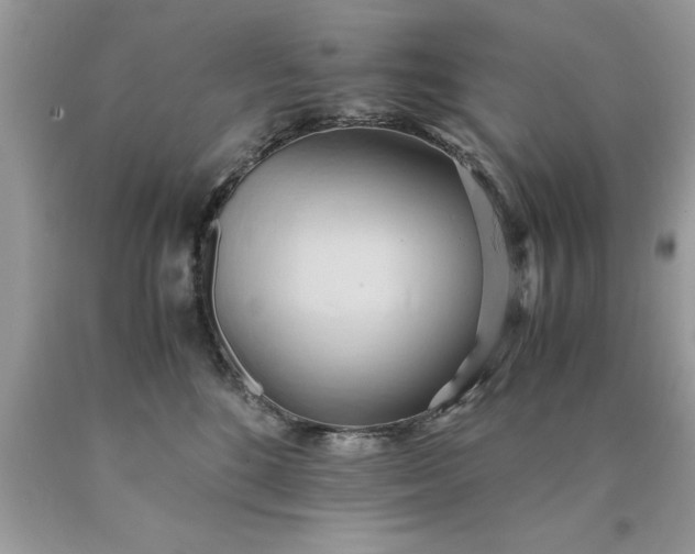 X0000090490520200707272343