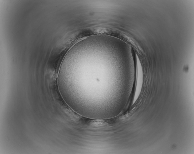 X0000090490521200707272343