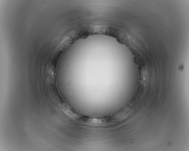 X0000090490522200707272343