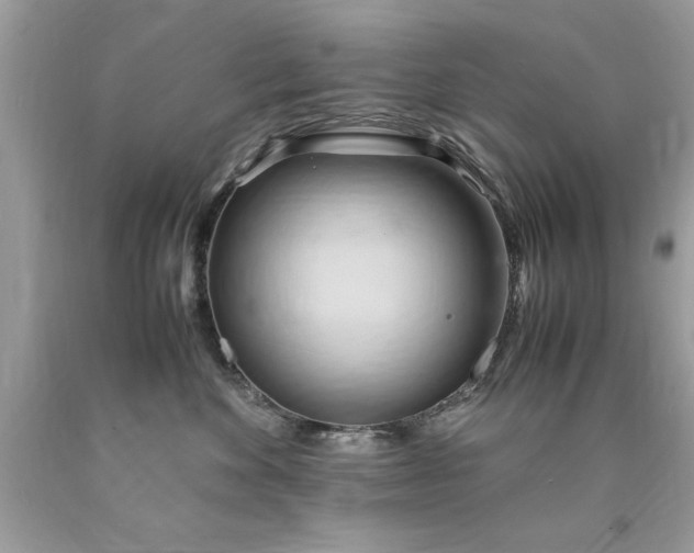 X0000090490524200707272343