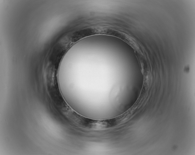 X0000090490525200707272343