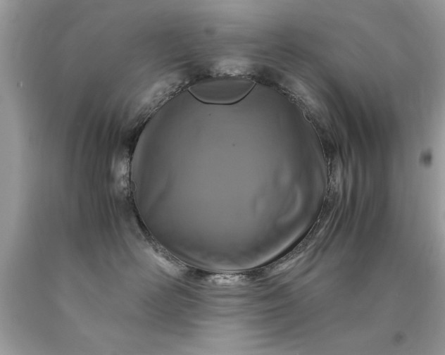 X0000090490526200707272343