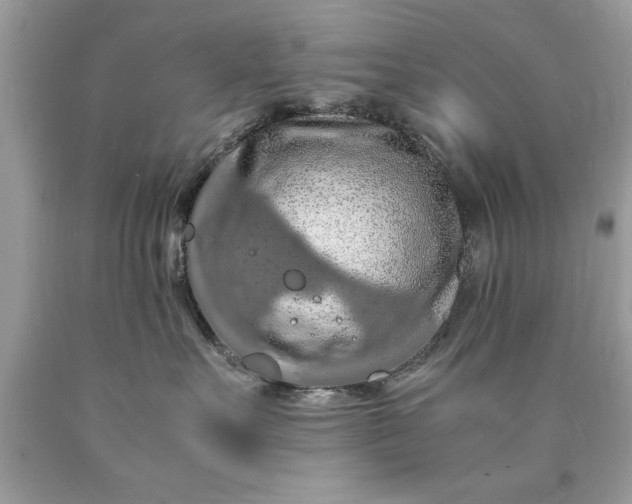 X0000090490527200707272343