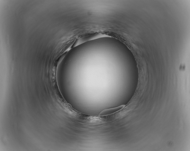 X0000090490528200707272343