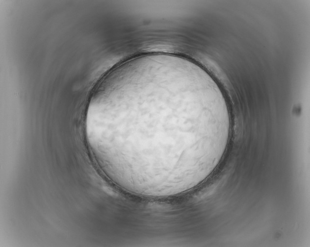 X0000090490529200707272342