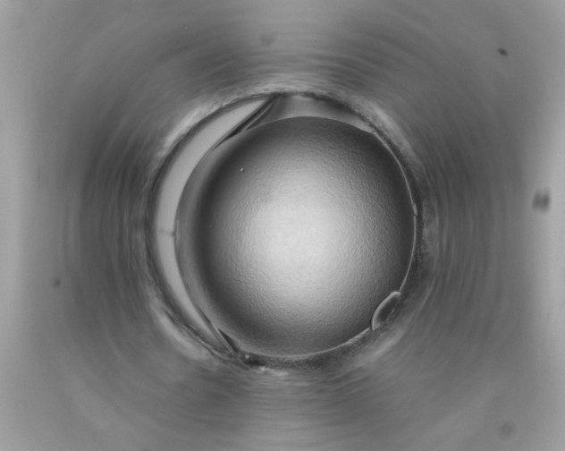 X0000090490530200707272342