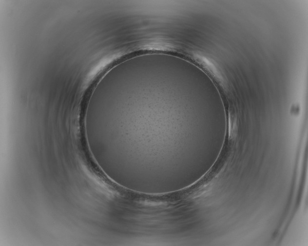 X0000090490531200707272342