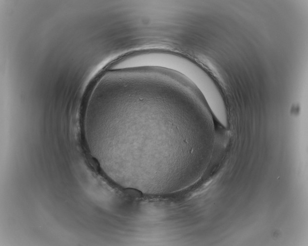 X0000090490532200707272342