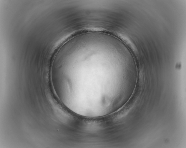 X0000090490533200707272342