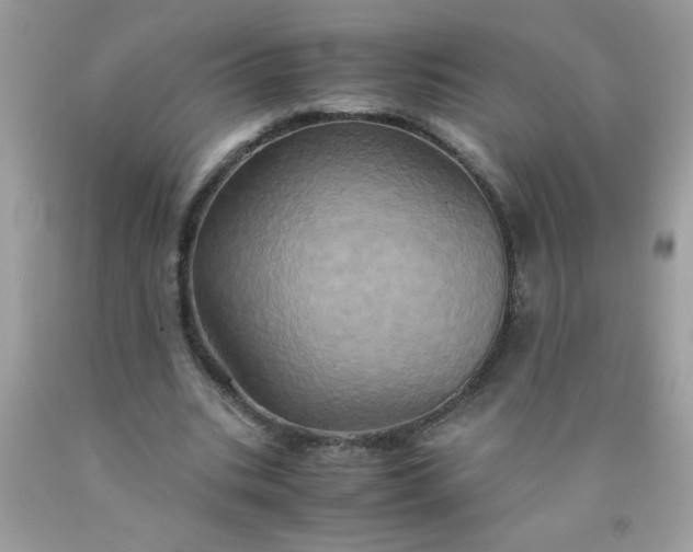 X0000090490535200707272342
