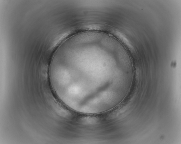 X0000090490537200707272342