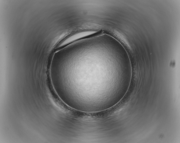 X0000090490538200707272342