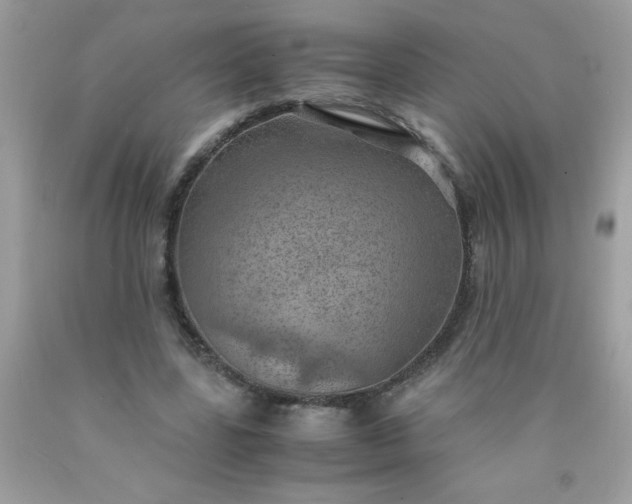 X0000090490539200707272342
