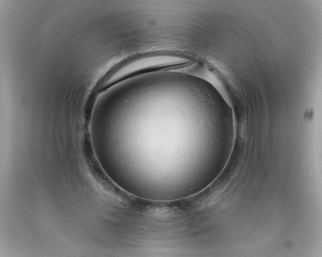 X0000090490540200707272342