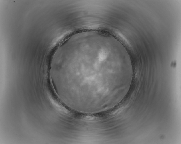 X0000090490542200707272342