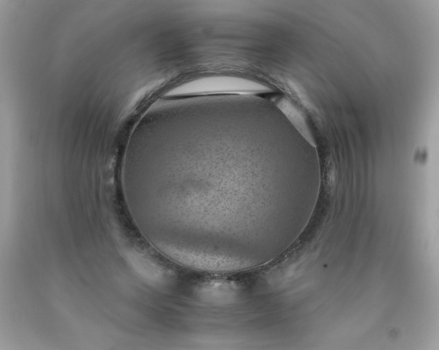 X0000090490543200707272342