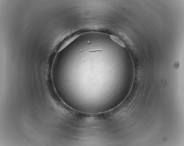 X0000090490544200707272342