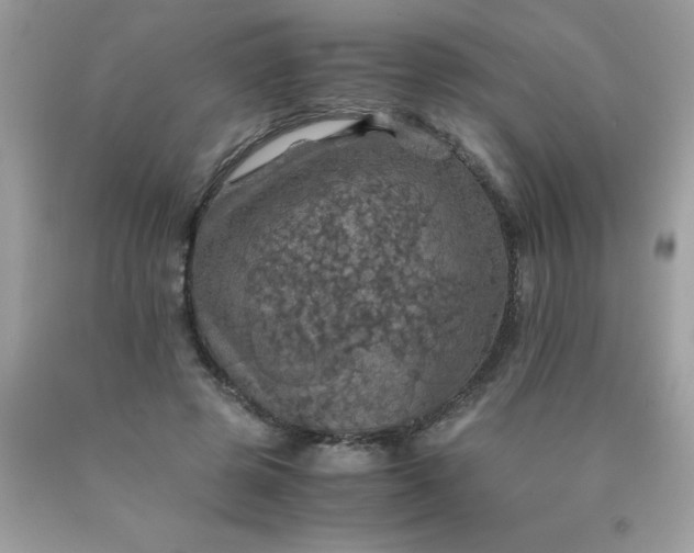 X0000090490545200707272342