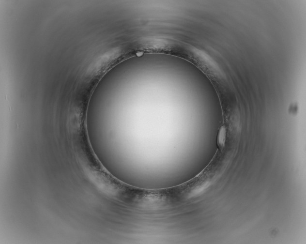 X0000090490546200707272342