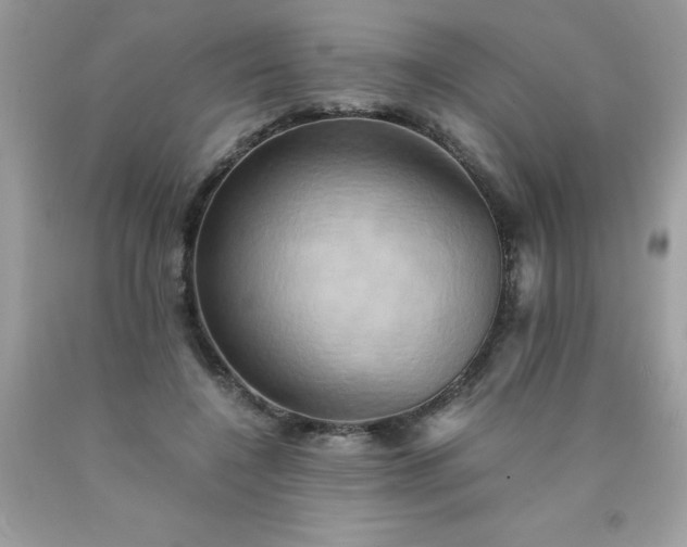 X0000090490548200707272342