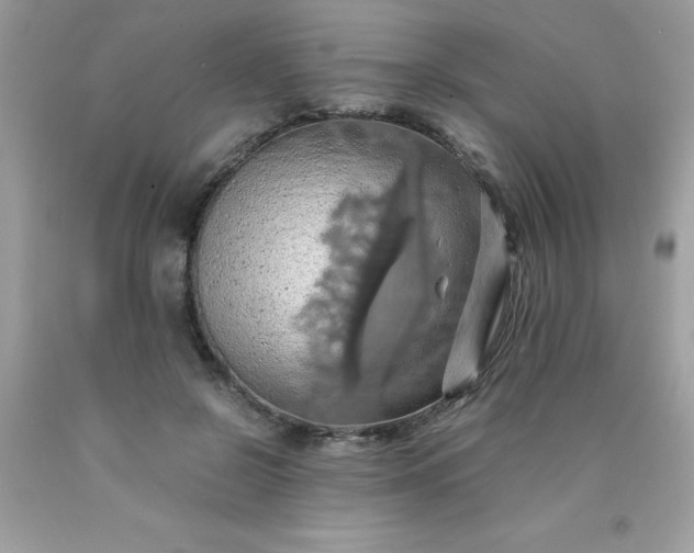 X0000090490550200707272343