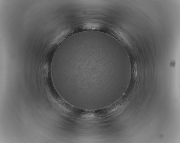 X0000090490551200707272343