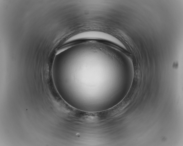 X0000090490552200707272343