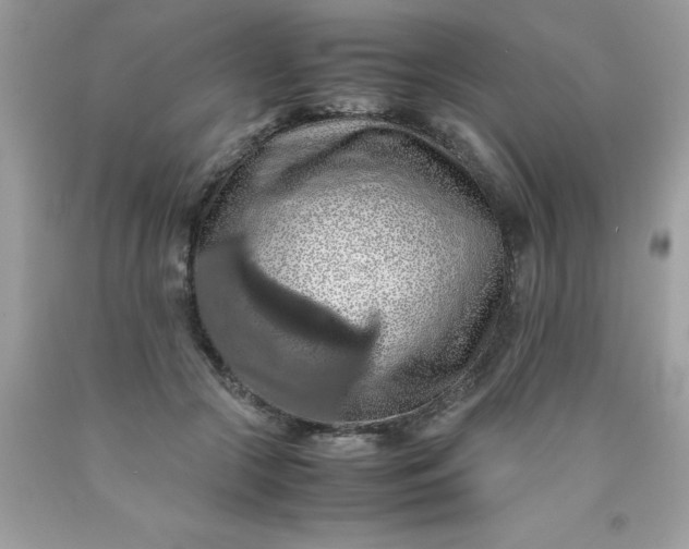 X0000090490553200707272343