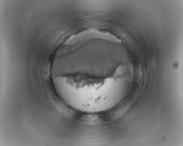 X0000090490554200707272343