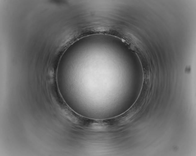 X0000090490556200707272343