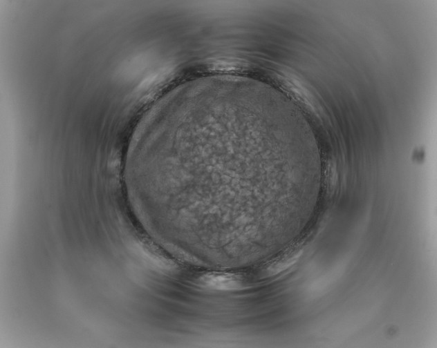X0000090490557200707272343