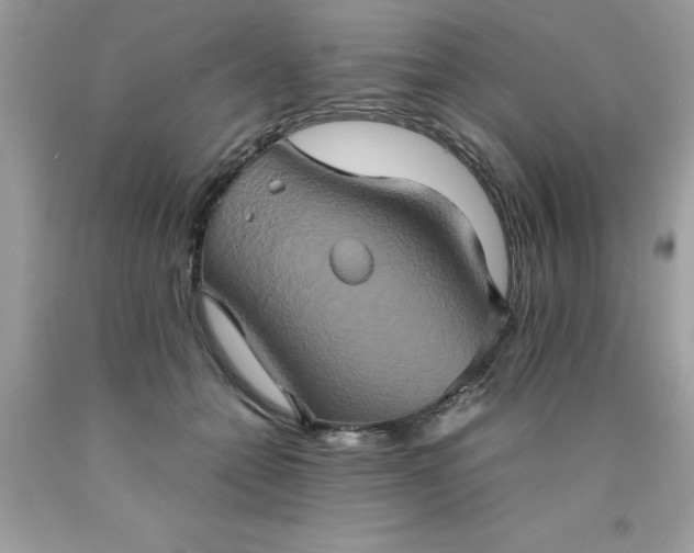 X0000090490558200707272343