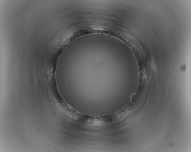 X0000090490559200707272343
