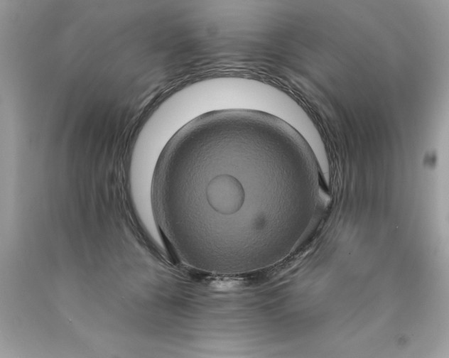 X0000090490560200707272343