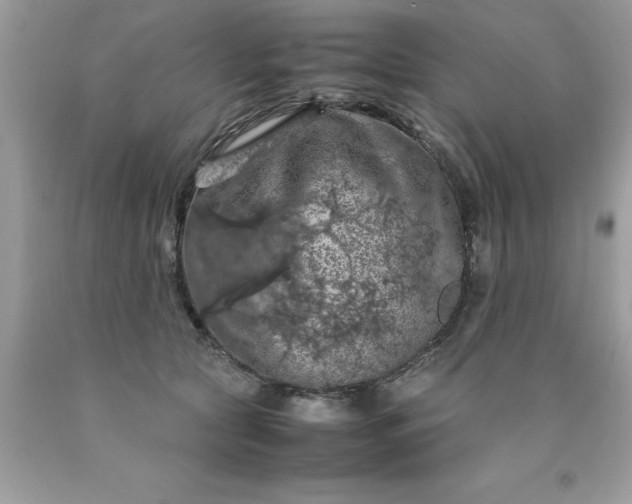 X0000090490561200707272343