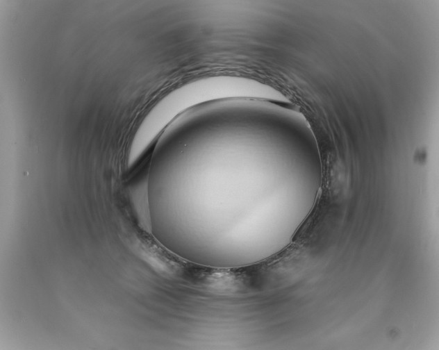 X0000090490562200707272343