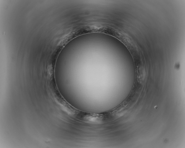 X0000090490563200707272343