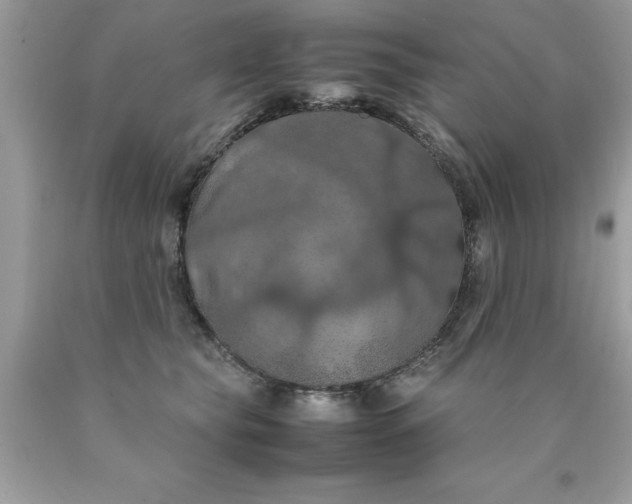 X0000090490565200707272343