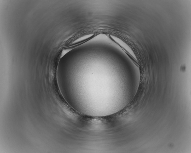 X0000090490566200707272343