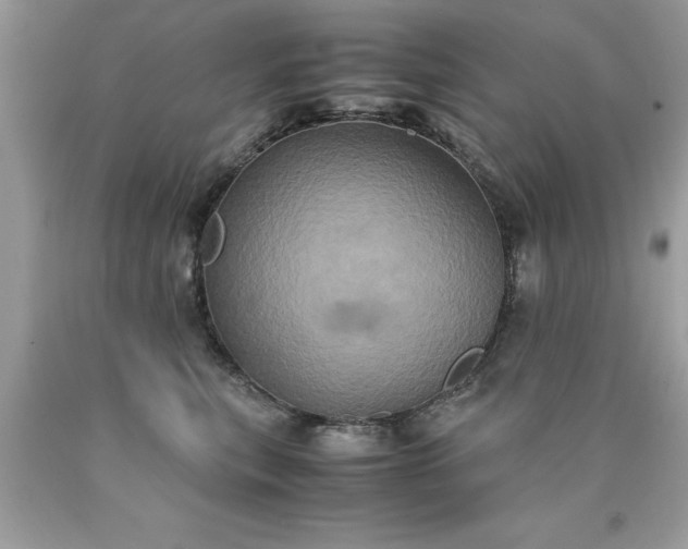 X0000090490567200707272343