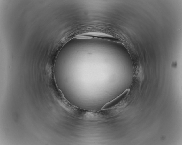 X0000090490568200707272343