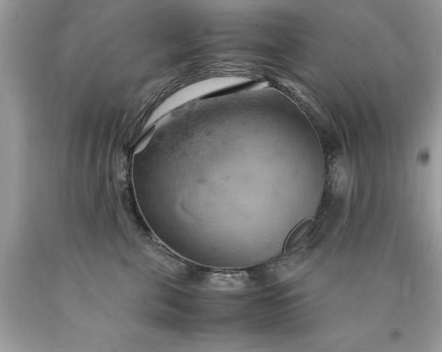 X0000090490571200707272343