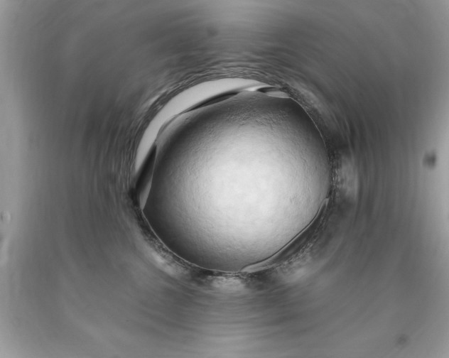 X0000090490572200707272343