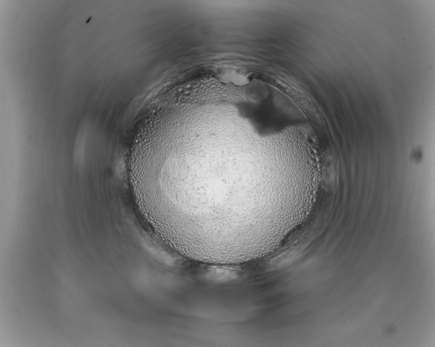 X0000090490573200707272343