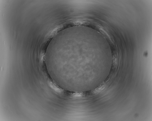 X0000090490574200707272343